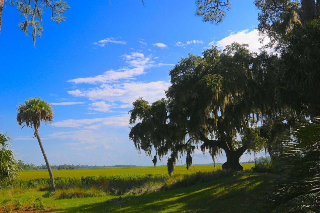 lodge on little st. simons island