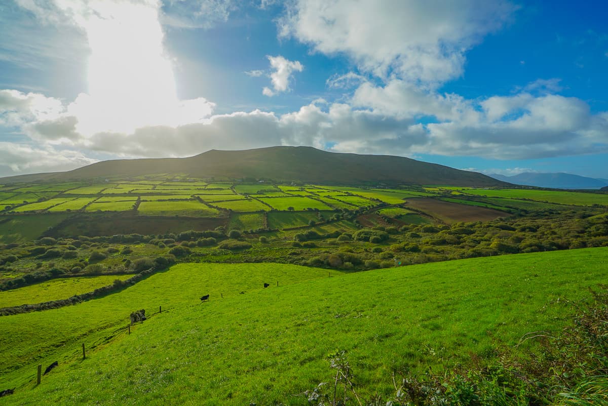 de bästa Slotthotellen i Irland. med barn och hur man ser det bästa i Irland