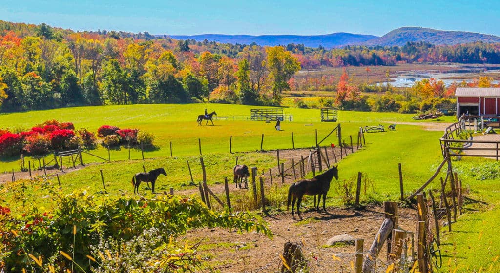 Berkshires Undermountain Road