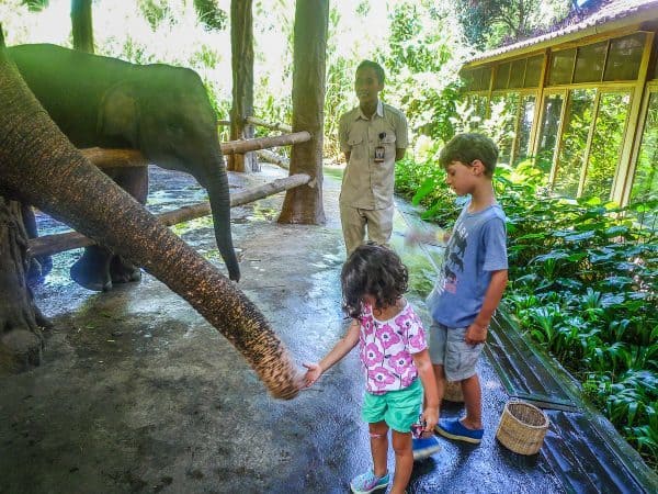 The 7 Best Places to Visit in Asia & 17 Luxury Hotels to Book With Kids