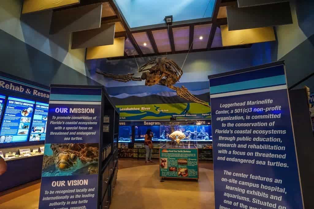 Loggerhead Marinelife Center