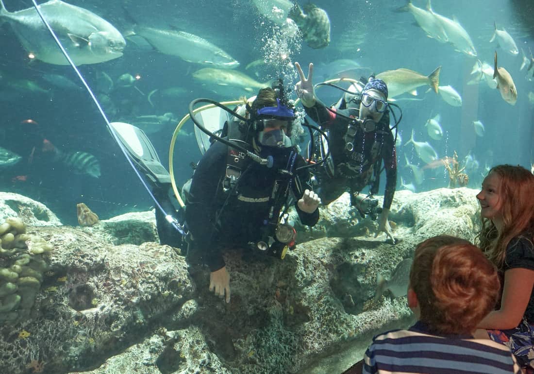 Charleston Aquarium