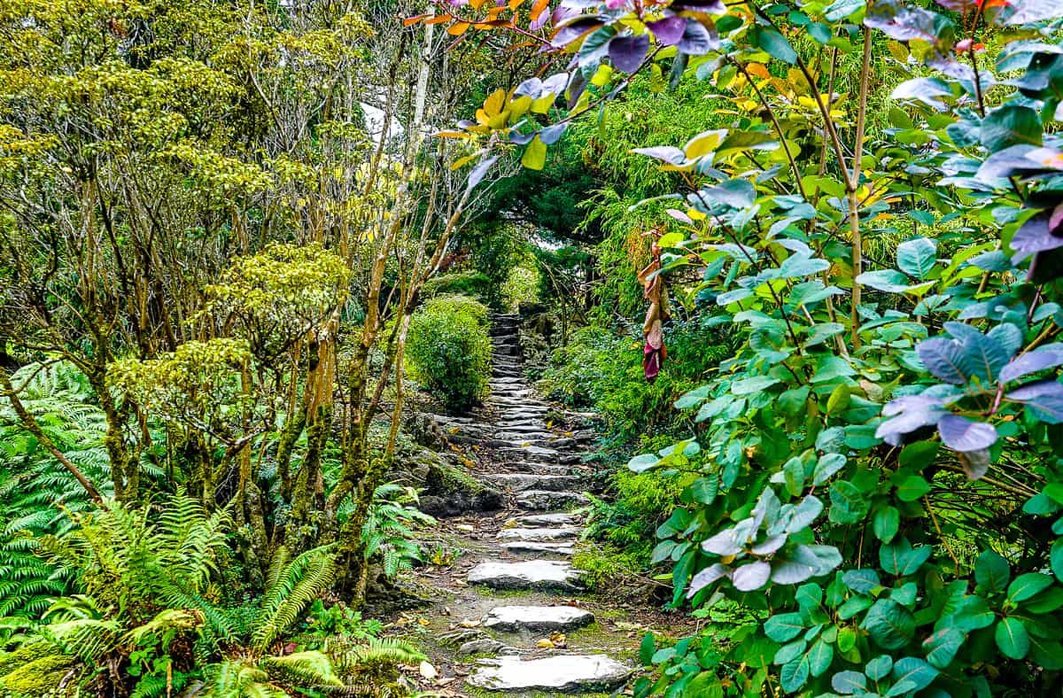 Killarney Ireland Muckross House