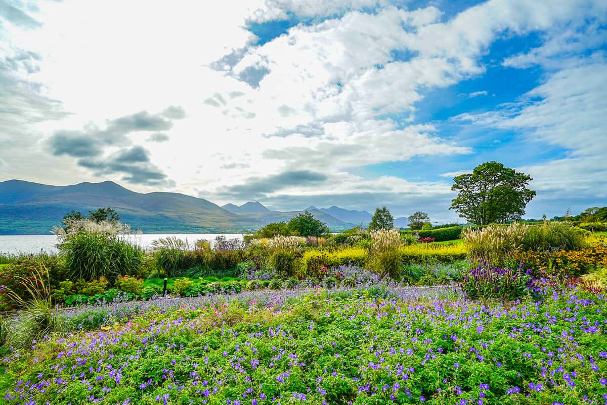 Killarney Ireland gardens