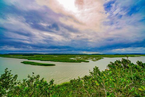 bluff palmetto marsh