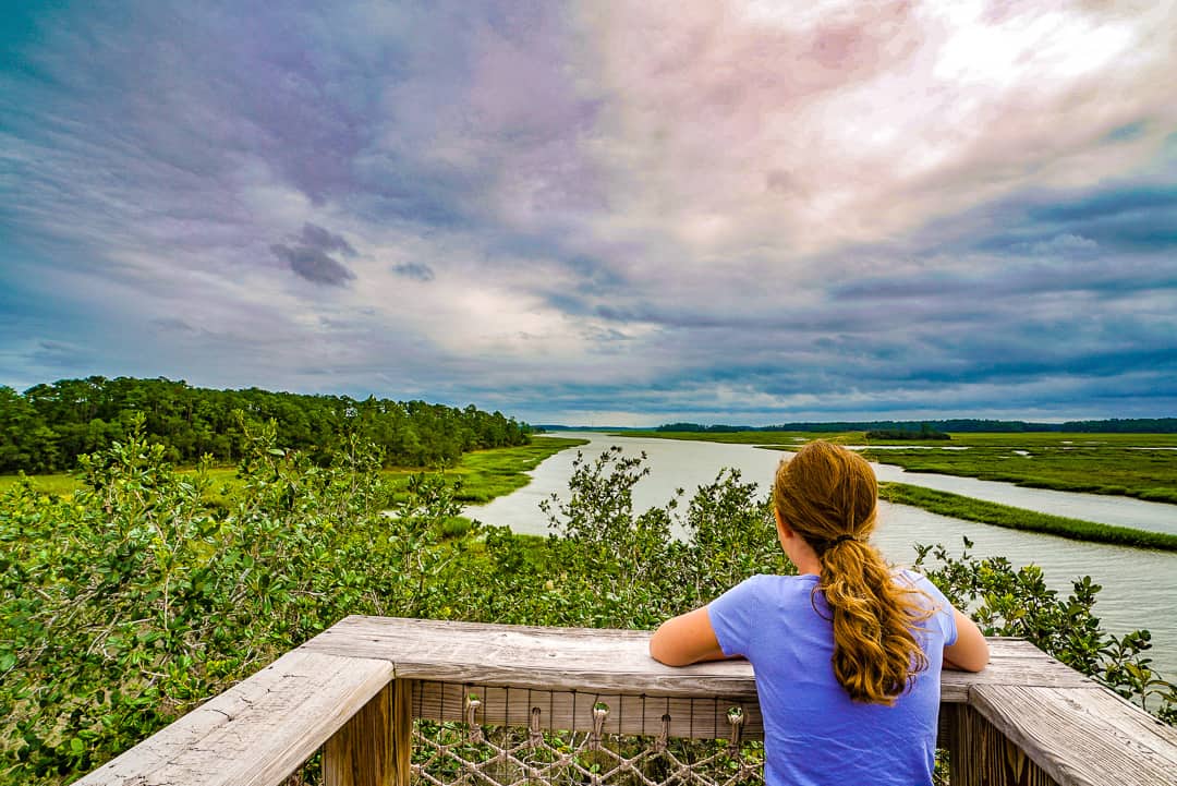 palmetto bluff montage resort