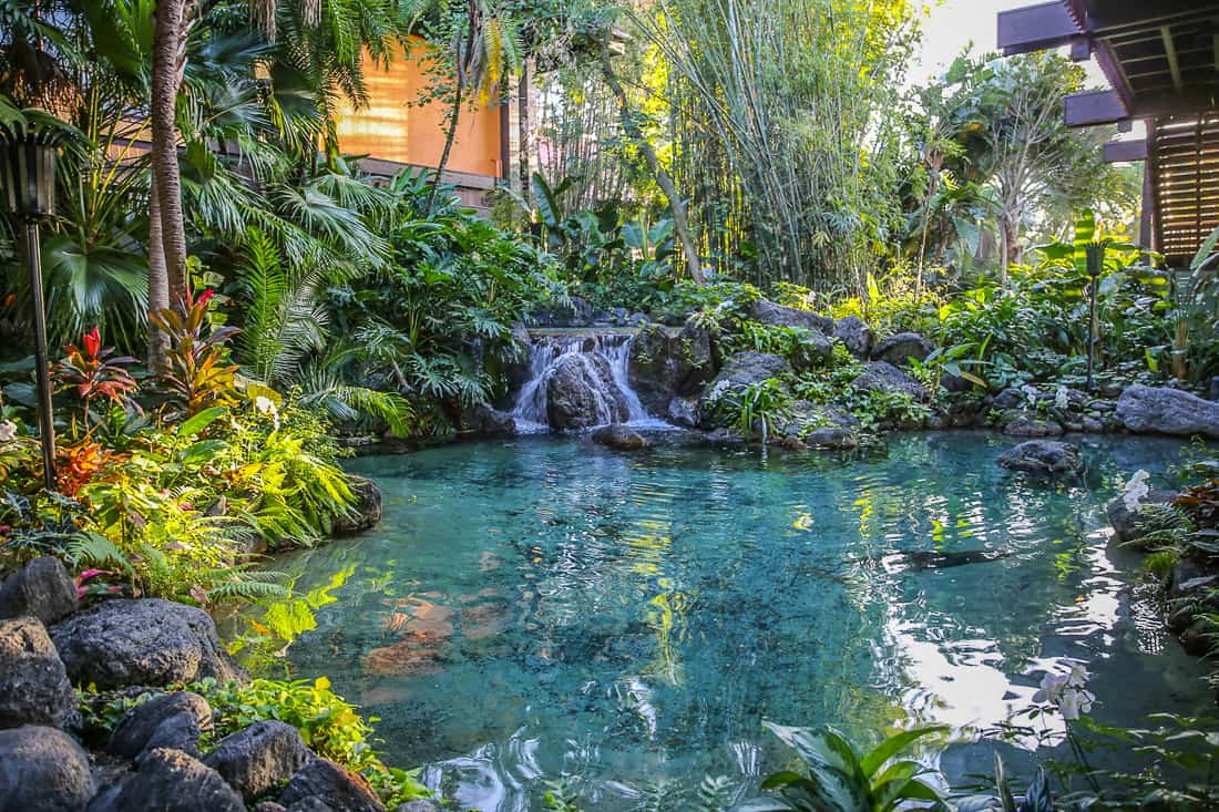 Is the Disney Polynesian Resort Club Level Worth it?