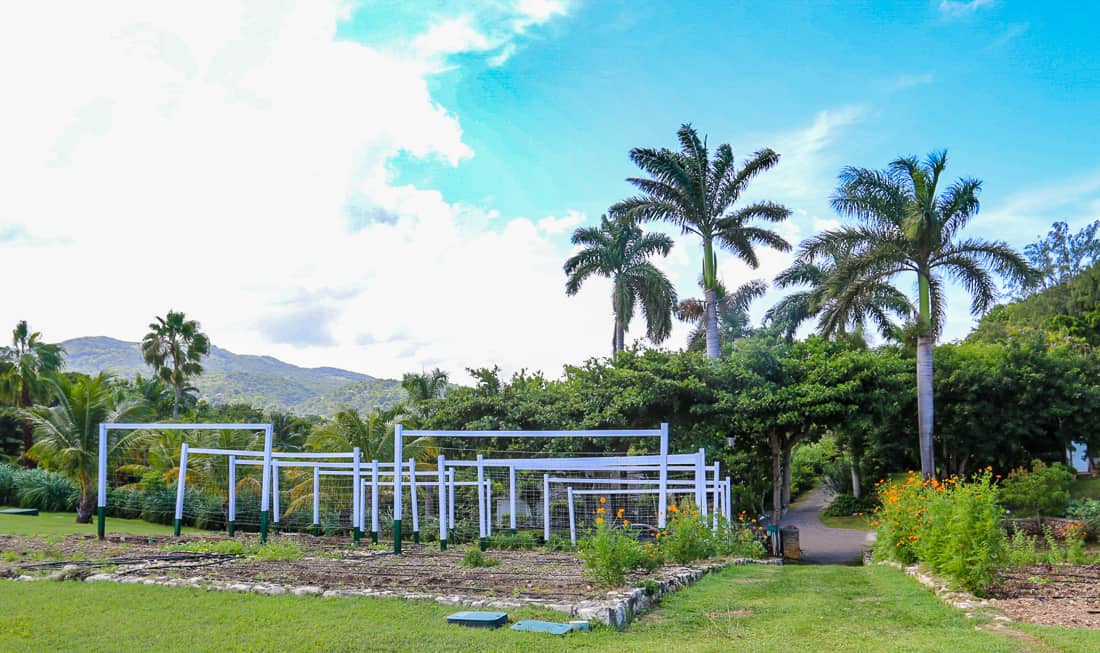 Round Hill Organic Garden