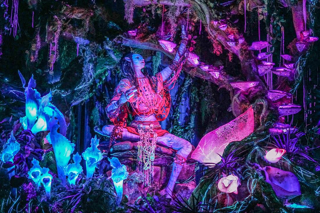 Disney Animal Kingdom Pandora