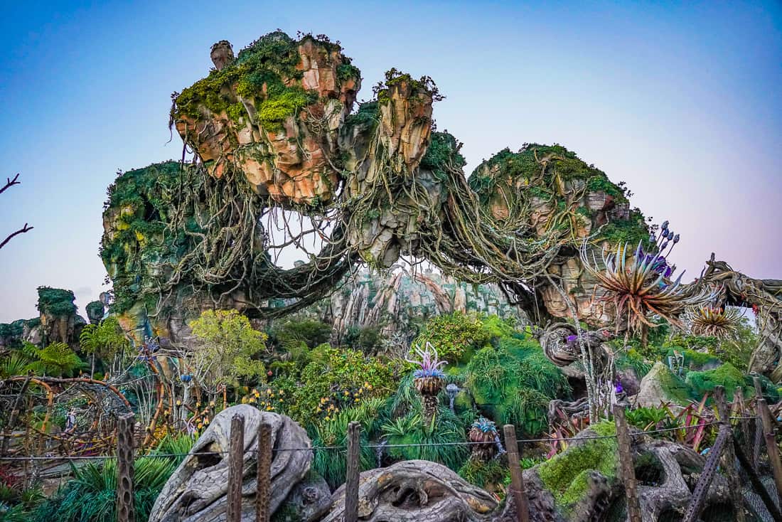 Disney Animal Kingdom Pandora