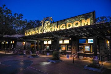 The Must Do Guide to the Disney Animal Kingdom Resort and Theme Park