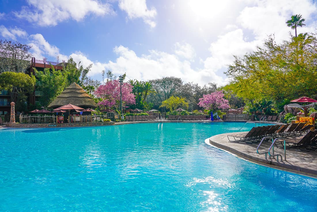 animal kingdom lodge water slide