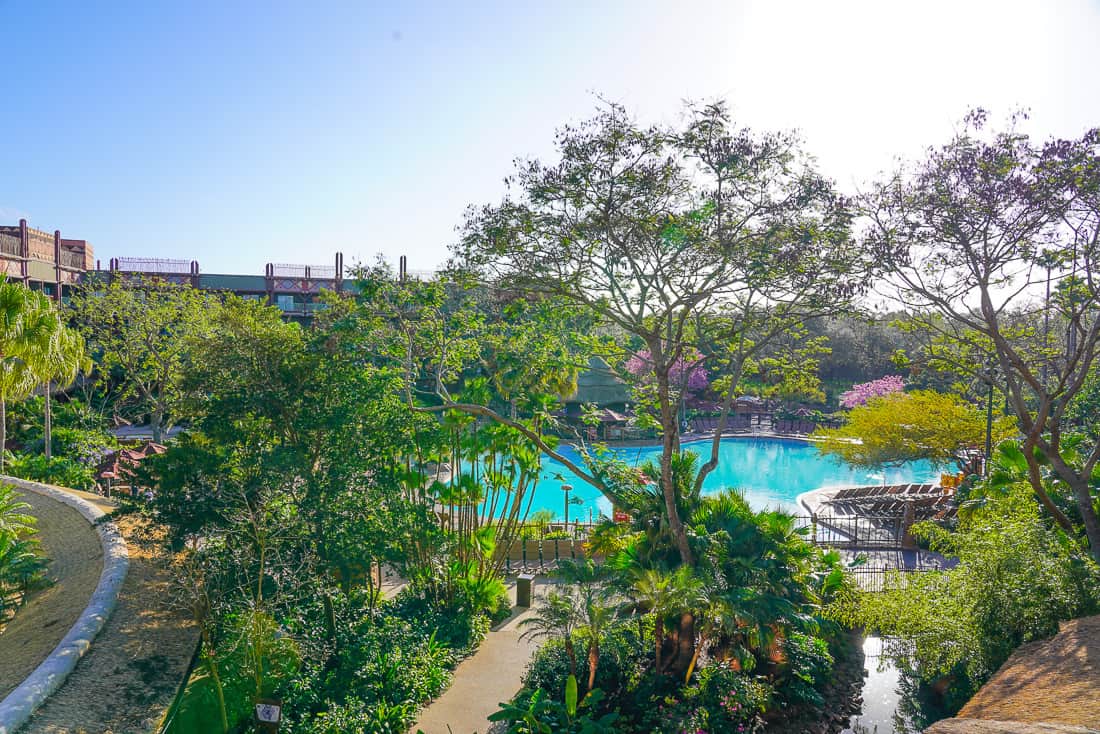 Disney Animal Kingdom Lodge Pool View