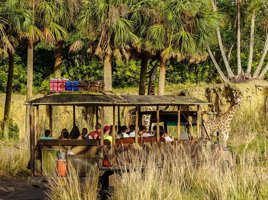 Disney Animal Kingdom