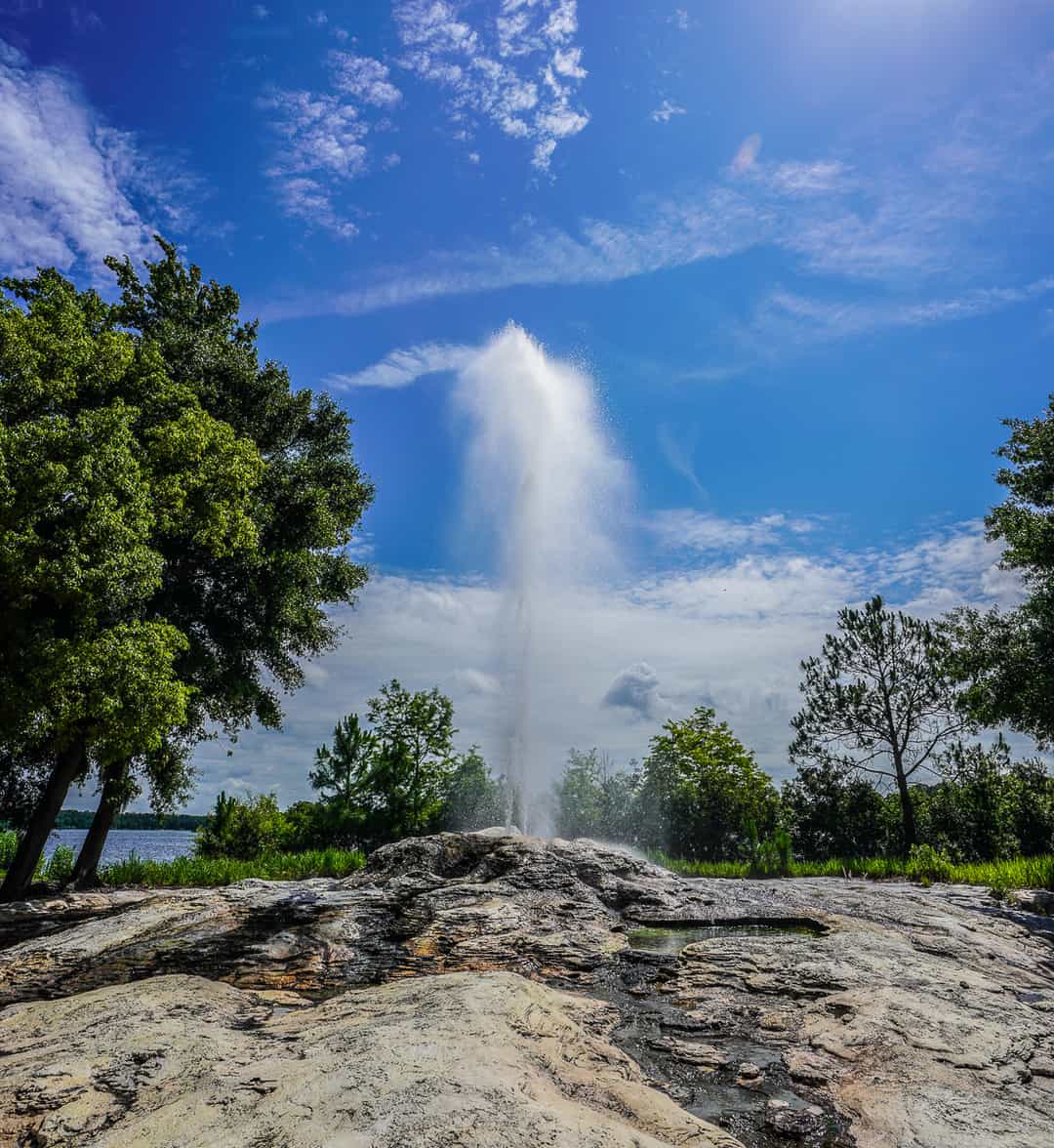 Wilderness Lodge Geyser