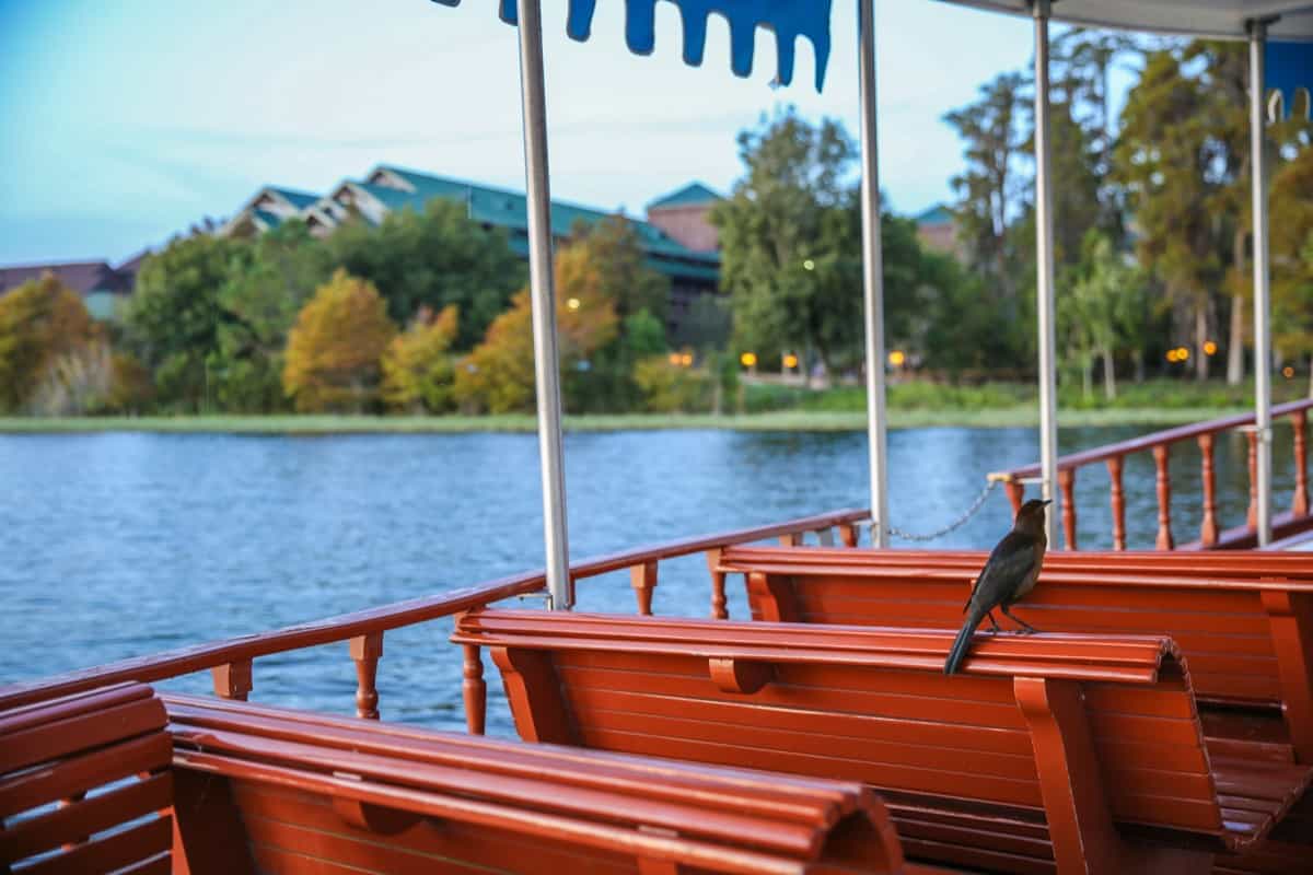 Wilderness Lodge Park Transportation