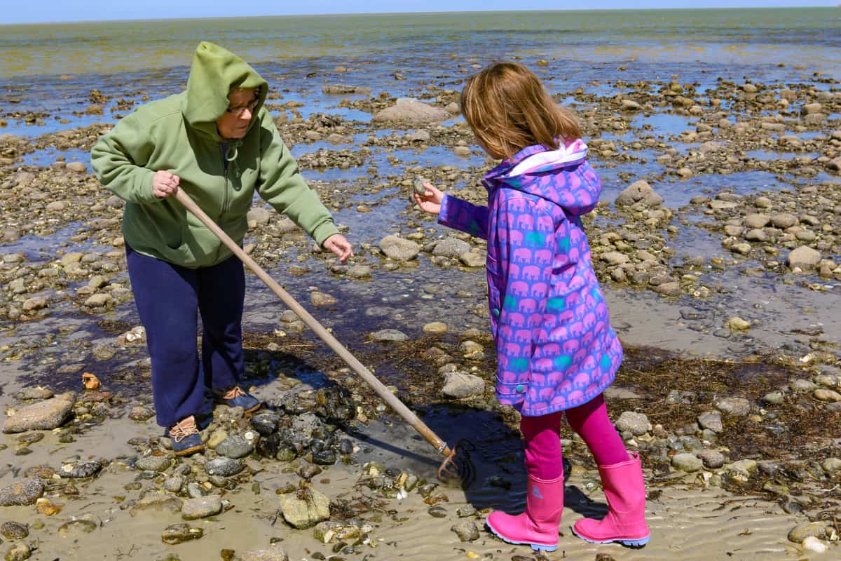 Cape Cod with kids