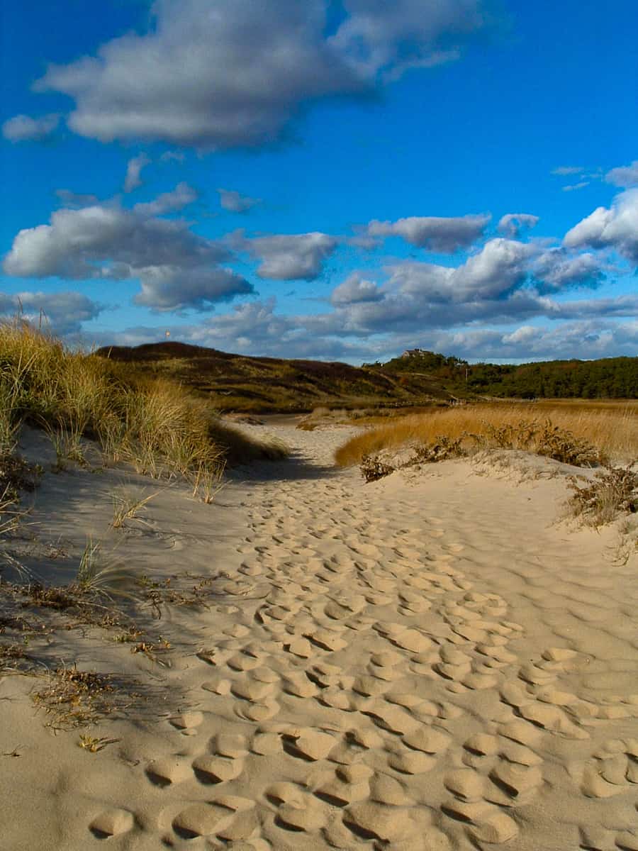 cape cod with kids