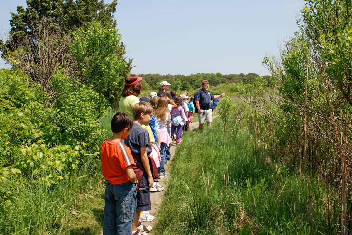 cape cod with kids