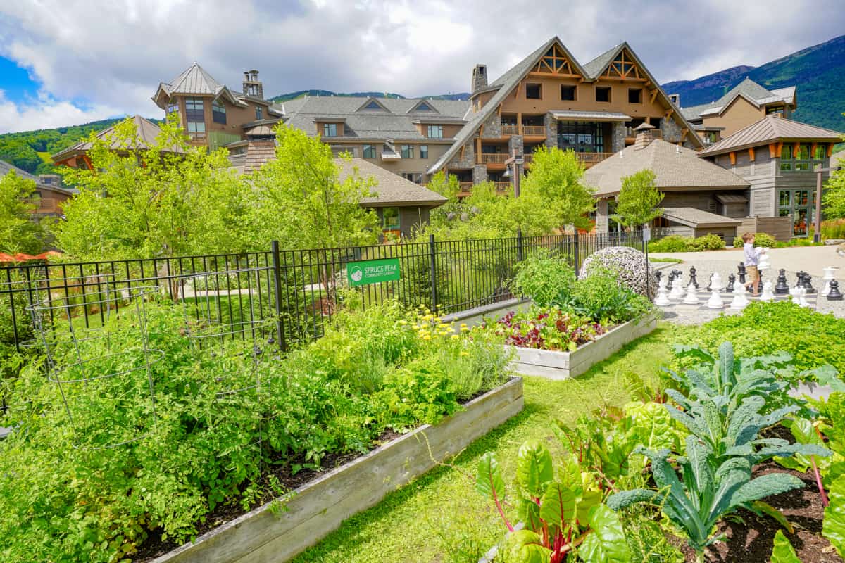 Stowe Mountain Lodge is now the Lodge at Spruce Peak and they have a community garden