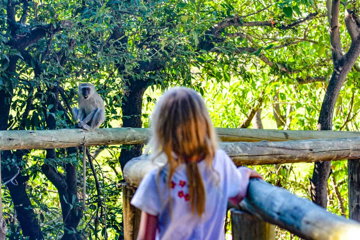 Botswana-safari-family-african-safari-vacation