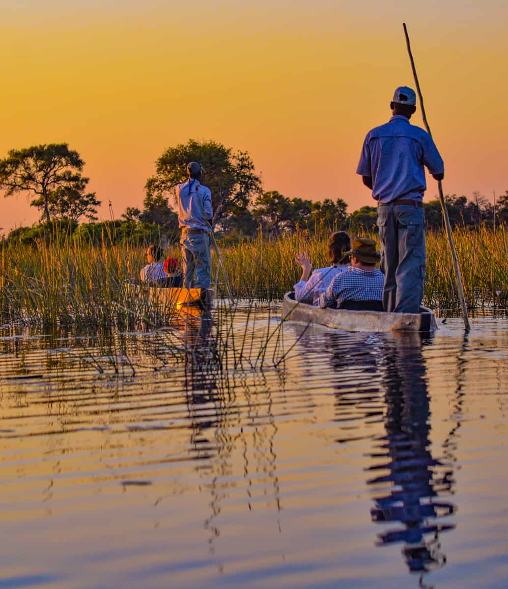 Botswana-safari-family-african-safari-vacation