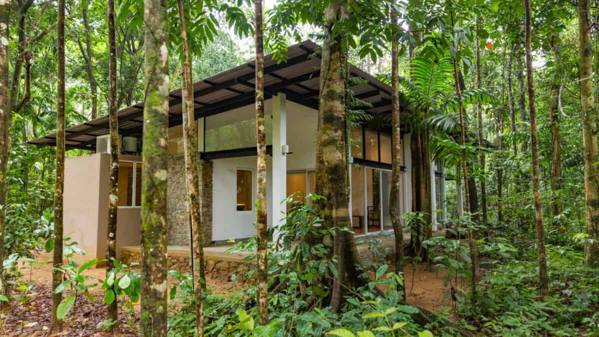 Palmstone Retreat