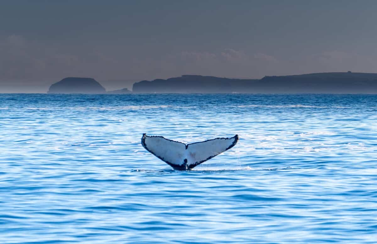 Bucket list vacations for families