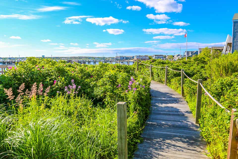 Nantucket With Kids