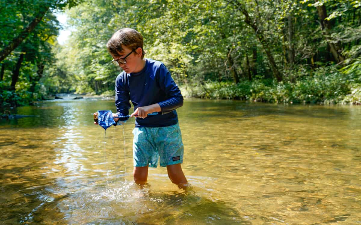 blackberry farm Tennessee family activities