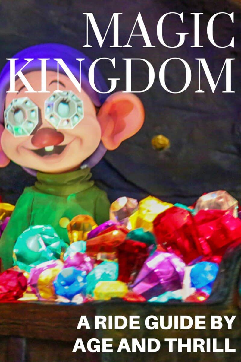 In this guide learn the best Magic Kingdom rides by age, thrill, and height requirement for your Disney vacation