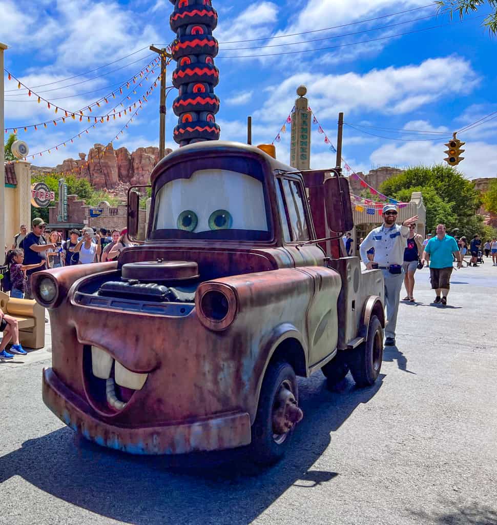 disneyland special vip tours