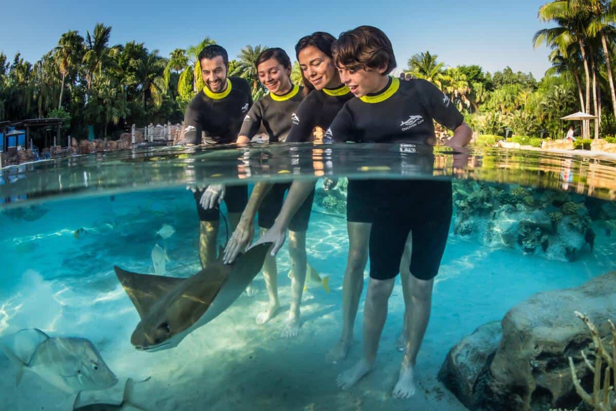 Discovery Cove Reviews— 7 Reasons Why You Should Go