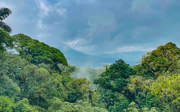 Mistico Hanging Bridge