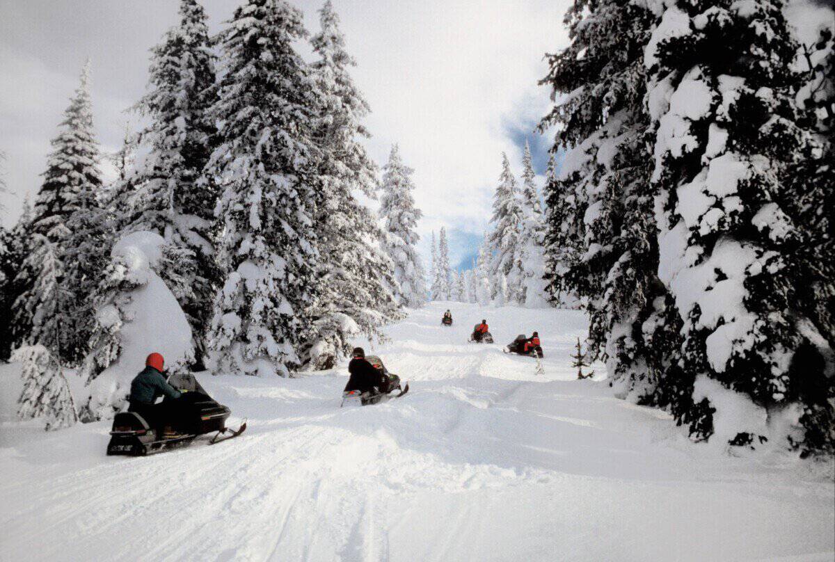 People riding snowmobiles in Yellowstone National Park, Wyoming, USA