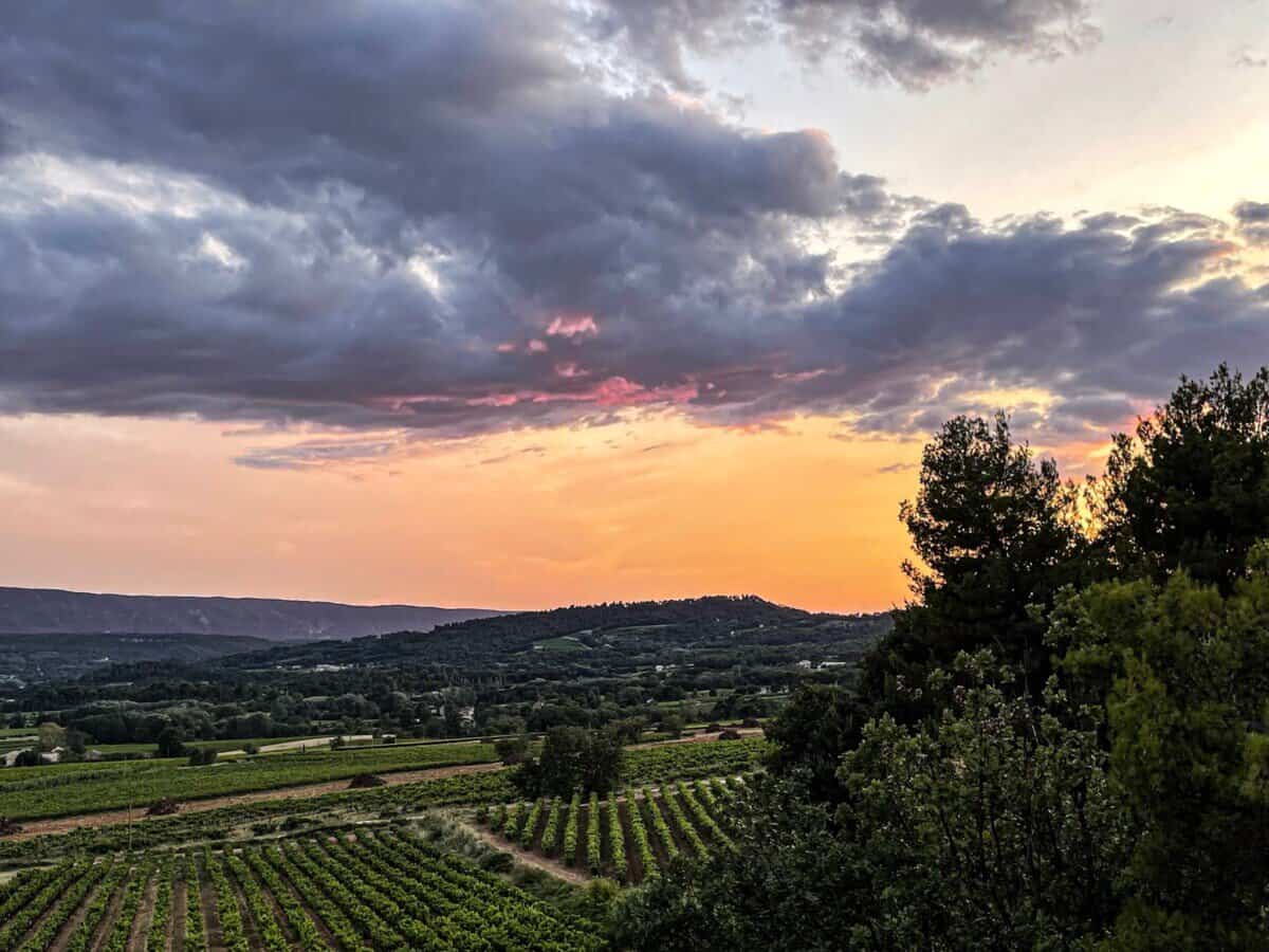 sunset over the vineyards in Provence, France