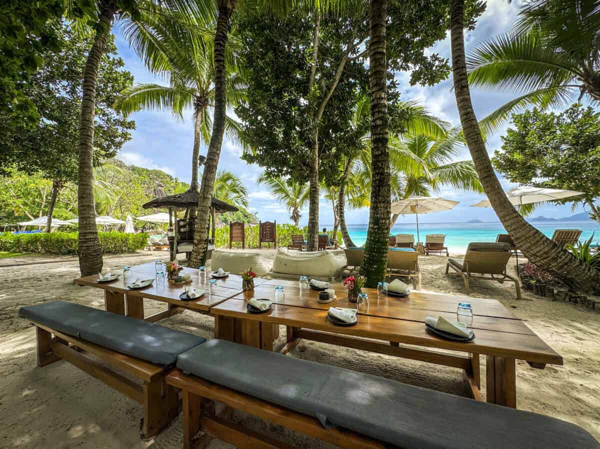 beach area with picnic tables and large shady palm trees and ocean in backdrop