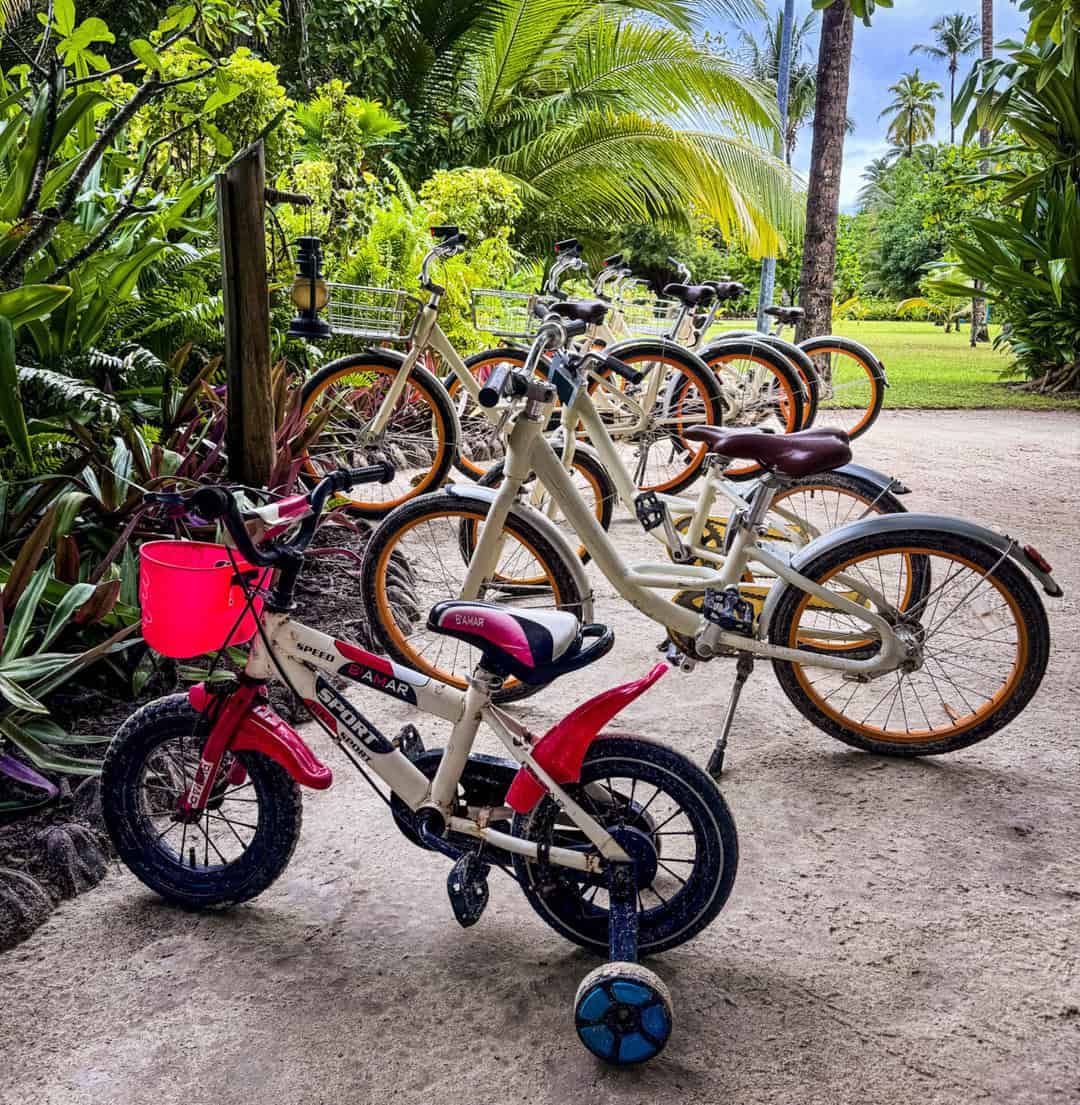 collection of adult bicycles and kids bicycles parked next to greenery