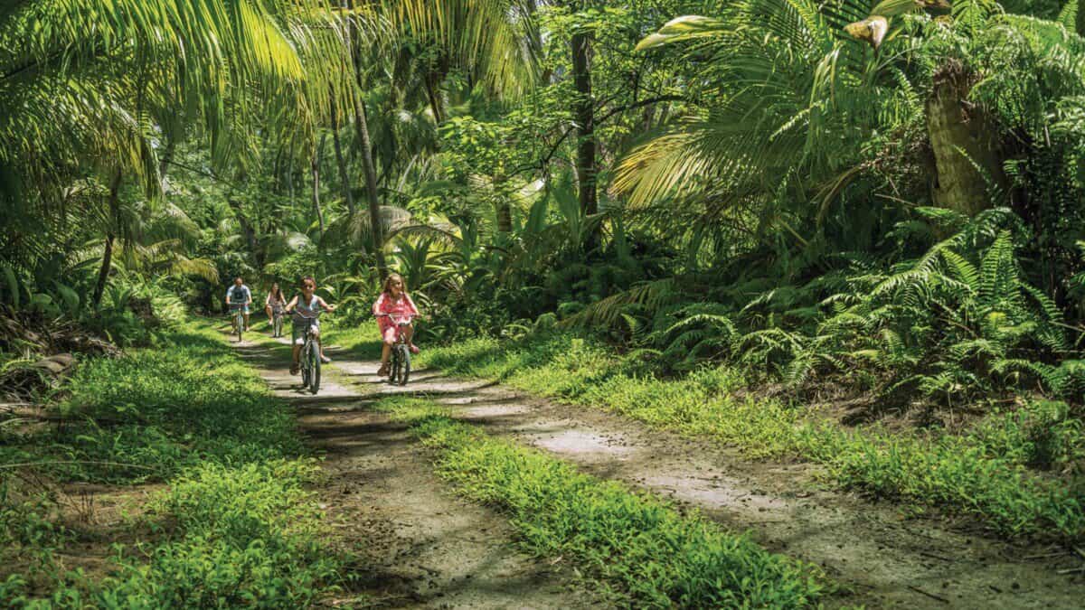 grassy trail with kids riding bikes and adults in backdrop