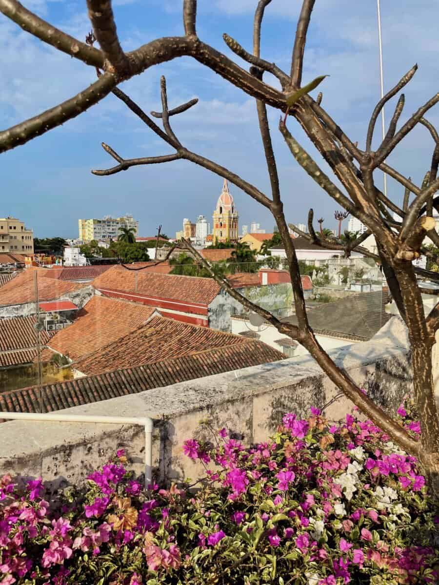 trees and foliage with buildings in backdrop in Cartagena, Colombia