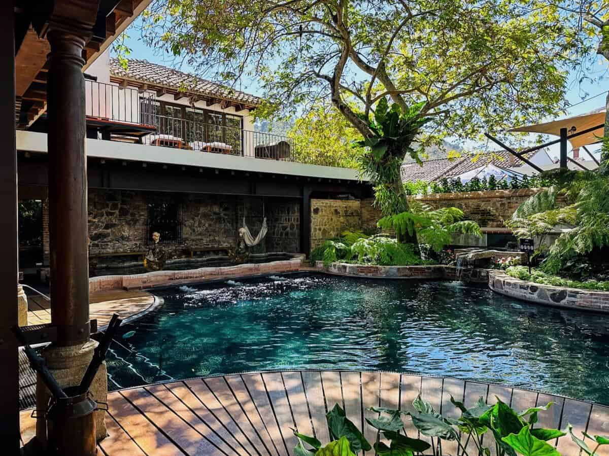 outdoor swimming pool with large tree and green foliage surrounding
