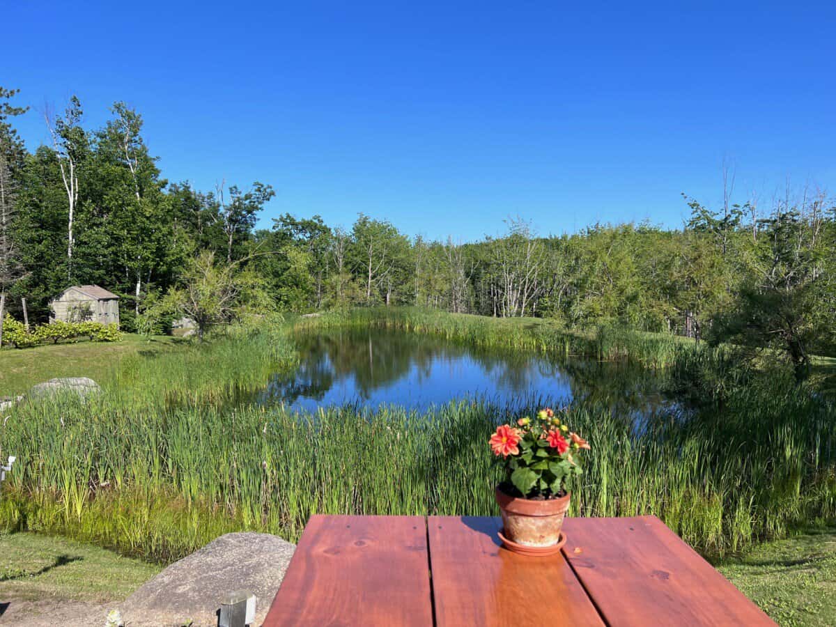 Hidden Pond Maine Resort
